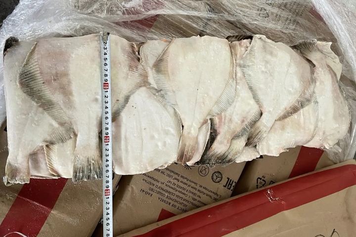 Фото Камбала ПБГ б/б ИКРЯНАЯ!!!! 350+ L 1/24 (2*12) Очень красивая!